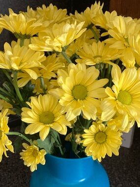 Stickers or pens for Donation and Giveaway Drawing!